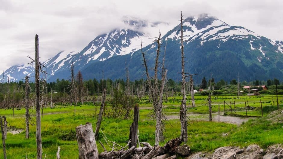 Cover image for article: Anchorage plan narrows road service area seats on Chugach board