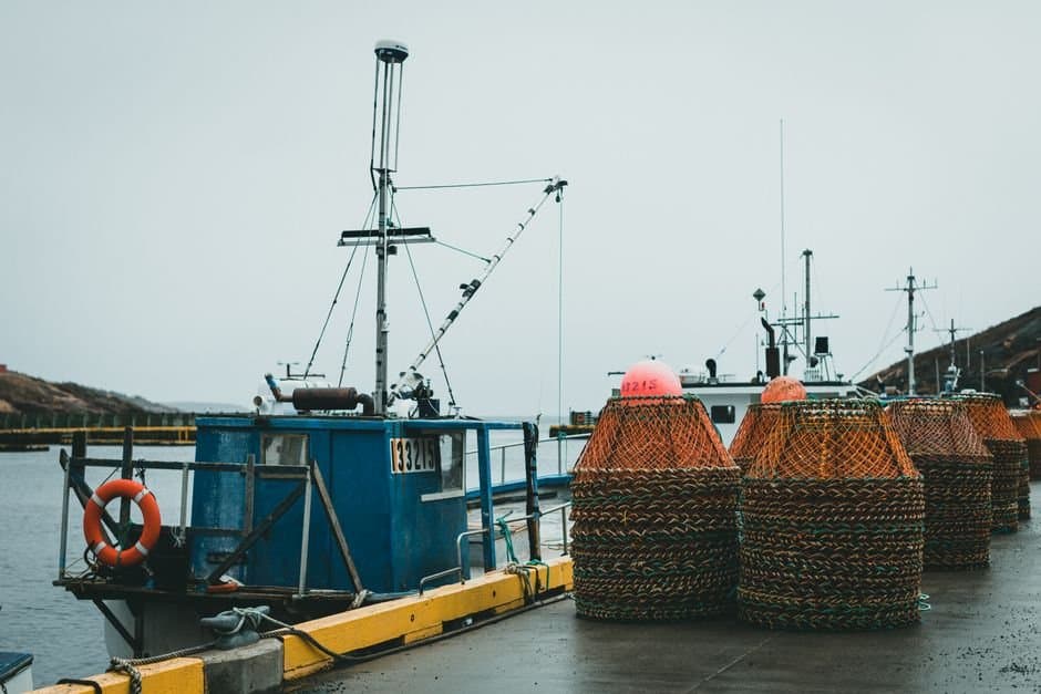 Cover image for article: Every preregistered Bering Sea crab boat is selected for observer coverage