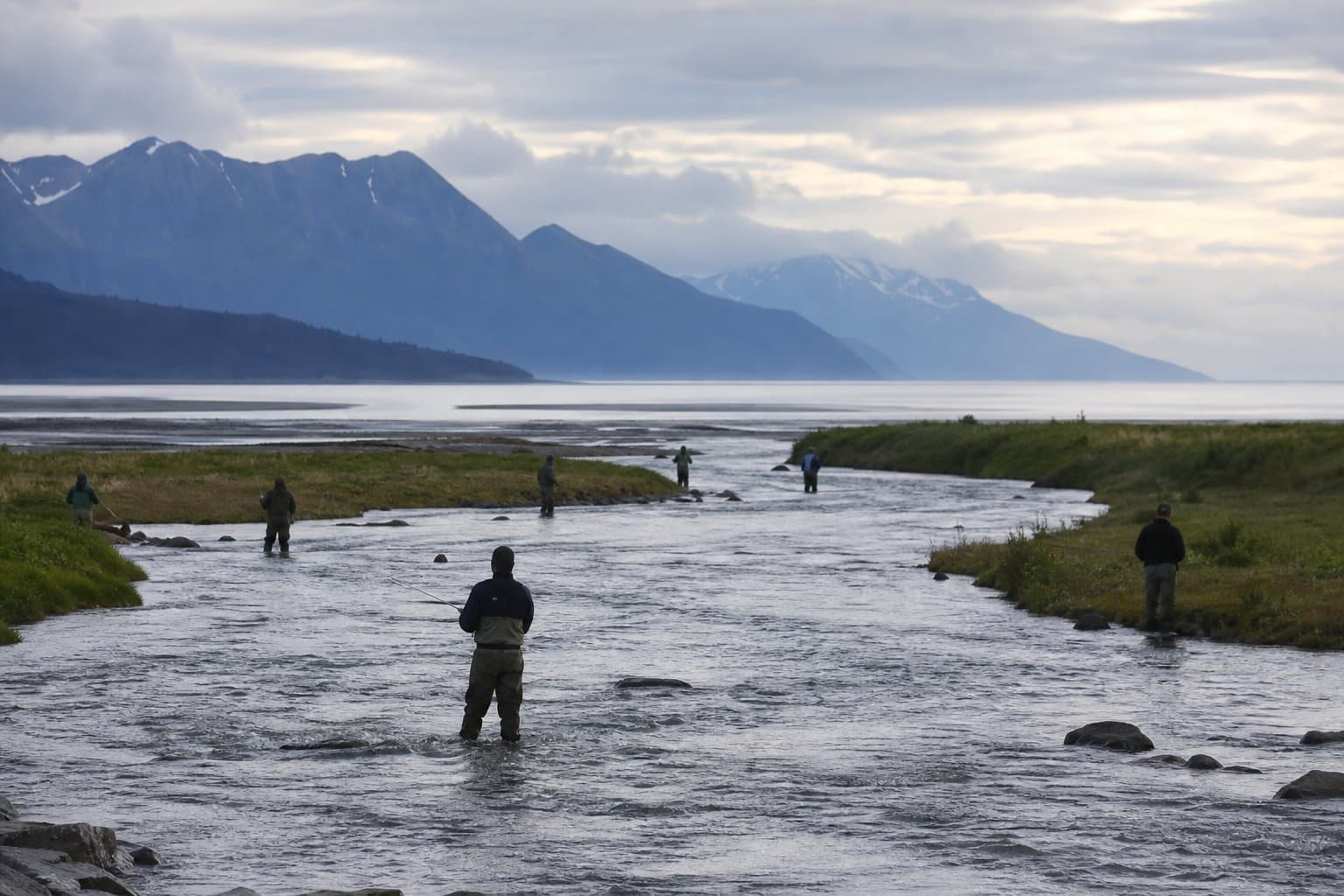 Cover image for article: Strong sockeye run opens Fish Creek to six salmon a day
