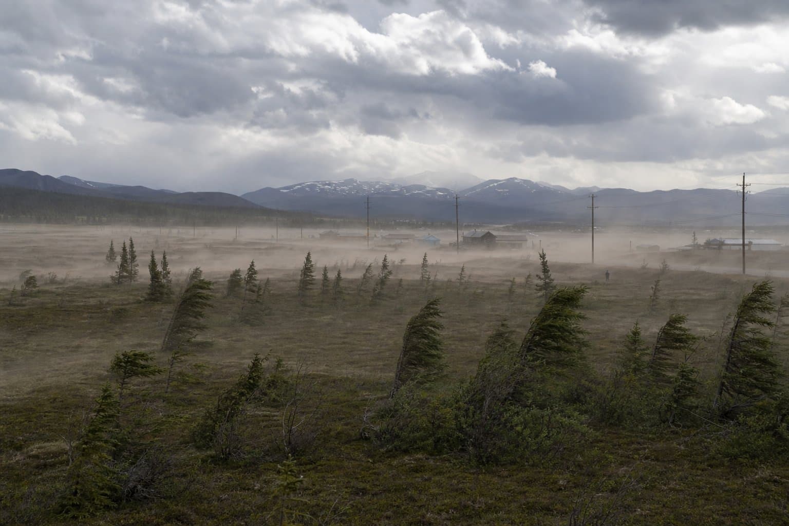 Cover image for article: Another round of damaging wind is headed for the Interior