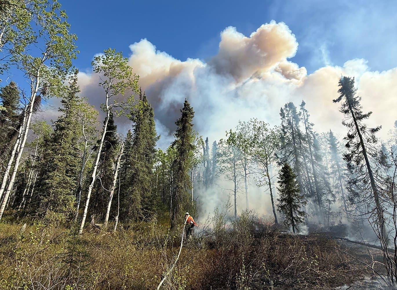Cover image for article: Ambler wildfire reaches 1,500 acres as fire activity slows